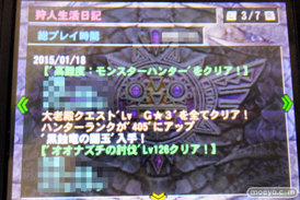 モンスターハンター4G　エロ装備　画像　パンツ　ドラゴンX　キリン　リベリオンZ　21