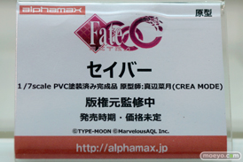 アルファマックス　スカイチューブ　画像　フィギュア　サンプル　レビュー　ワンダーフェスティバル 2015［冬］　アダルト　エロ　02