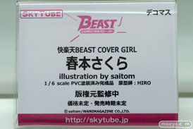 アルファマックス　スカイチューブ　画像　フィギュア　サンプル　レビュー　ワンダーフェスティバル 2015［冬］　アダルト　エロ　10