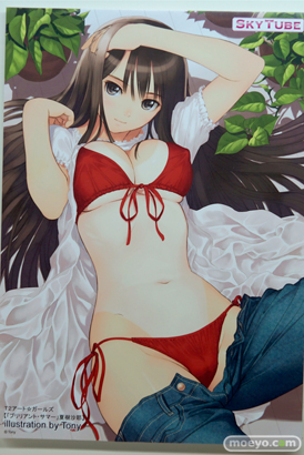 アルファマックス　スカイチューブ　画像　フィギュア　サンプル　レビュー　ワンダーフェスティバル 2015［冬］　アダルト　エロ　28