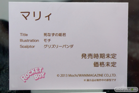 ネイティブ　画像　フィギュア　サンプル　レビュー　ワンダーフェスティバル 2015［冬］　アダルト　エロ23