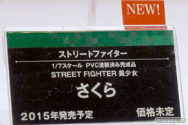 コトブキヤ　画像　フィギュア　サンプル　レビュー　ワンダーフェスティバル 2015［冬］　美少女　28