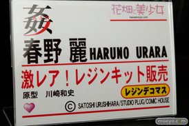 オルカトイズ　画像　フィギュア　サンプル　レビュー　ワンダーフェスティバル 2015［冬］　アダルト　エロ　31