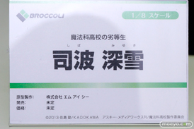 ブロッコリー　画像　フィギュア　サンプル　レビュー　ワンダーフェスティバル 2015［冬］　10