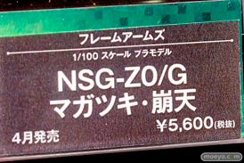 ワンダーフェスティバル2015[冬] After コトブキヤプラモホビー展示会　06