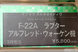 ワンダーフェスティバル2015[冬] After コトブキヤプラモホビー展示会　11