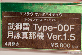 ワンダーフェスティバル2015[冬] After コトブキヤプラモホビー展示会　13