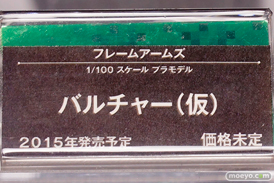 ワンダーフェスティバル2015[冬] After コトブキヤプラモホビー展示会　29