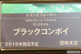 ワンダーフェスティバル2015[冬] After コトブキヤプラモホビー展示会　43