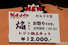 アミエ・グラン　画像　フィギュア　サンプル　レビュー　ワンダーフェスティバル 2015［冬］　ふんどし　エロ　カグラ　一騎当千　06