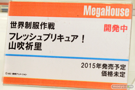 メガハウス　美少女　画像　フィギュア　サンプル　レビュー　ワンダーフェスティバル 2015［冬］　11