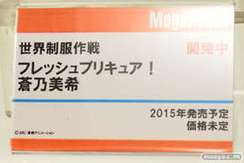 メガハウス　美少女　画像　フィギュア　サンプル　レビュー　ワンダーフェスティバル 2015［冬］　13