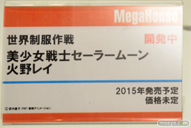 メガハウス　美少女　画像　フィギュア　サンプル　レビュー　ワンダーフェスティバル 2015［冬］　17