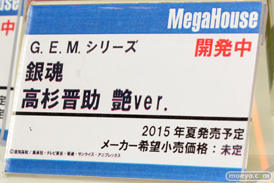 メガハウス　メカ　男性　画像　フィギュア　サンプル　レビュー　ワンダーフェスティバル 2015［冬］　18