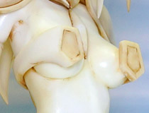 【WF2015冬】「ウルトラ怪獣擬人化計画 ゼットン（仮）/バルタン星人（仮）」「鳶一折紙～スク水わんこver.～」など グリフォンエンタープライズブース特集