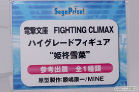 セガ プライズ　艦これ　サイコパス　ガールフレンド　電撃ファイティングクライマックス　画像　フィギュア　サンプル　レビュー　ワンダーフェスティバル 2015［冬］　27