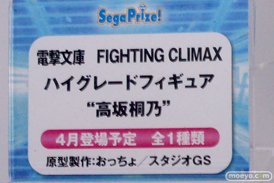 セガ プライズ　艦これ　サイコパス　ガールフレンド　電撃ファイティングクライマックス　画像　フィギュア　サンプル　レビュー　ワンダーフェスティバル 2015［冬］　29