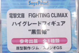 セガ プライズ　艦これ　サイコパス　ガールフレンド　電撃ファイティングクライマックス　画像　フィギュア　サンプル　レビュー　ワンダーフェスティバル 2015［冬］　39