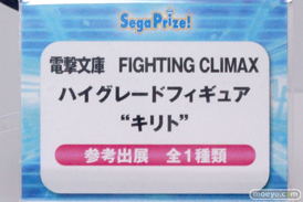 セガ プライズ　艦これ　サイコパス　ガールフレンド　電撃ファイティングクライマックス　画像　フィギュア　サンプル　レビュー　ワンダーフェスティバル 2015［冬］　43