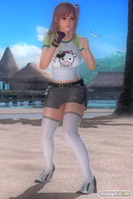 DEAD OR ALIVE 5 Last Round　ほのか　コスチューム　画像　パンツ　エロ　新キャラ　DOA5LR　12