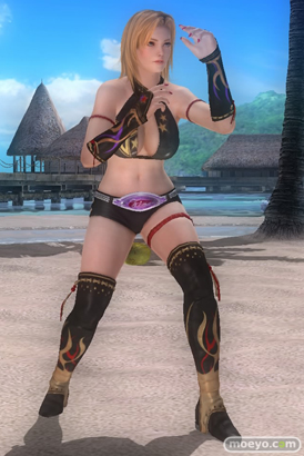 DEAD OR ALIVE 5 Last Round 対応スティック　ガールズファイター 2015　画像　エロ　DOA5LR　ジョイスティック　特典　DLC　　01