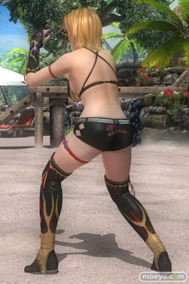 DEAD OR ALIVE 5 Last Round 対応スティック　ガールズファイター 2015　画像　エロ　DOA5LR　ジョイスティック　特典　DLC　　02