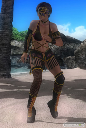 DEAD OR ALIVE 5 Last Round 対応スティック　ガールズファイター 2015　画像　エロ　DOA5LR　ジョイスティック　特典　DLC　　04