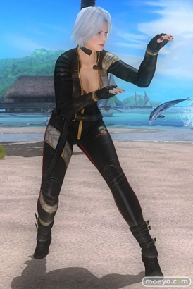 DEAD OR ALIVE 5 Last Round 対応スティック　ガールズファイター 2015　画像　エロ　DOA5LR　ジョイスティック　特典　DLC　　07