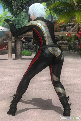 DEAD OR ALIVE 5 Last Round 対応スティック　ガールズファイター 2015　画像　エロ　DOA5LR　ジョイスティック　特典　DLC　　08