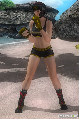 DEAD OR ALIVE 5 Last Round 対応スティック　ガールズファイター 2015　画像　エロ　DOA5LR　ジョイスティック　特典　DLC　　10