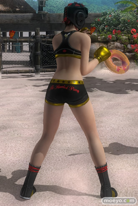 DEAD OR ALIVE 5 Last Round 対応スティック　ガールズファイター 2015　画像　エロ　DOA5LR　ジョイスティック　特典　DLC　　11