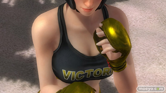 DEAD OR ALIVE 5 Last Round 対応スティック　ガールズファイター 2015　画像　エロ　DOA5LR　ジョイスティック　特典　DLC　　12