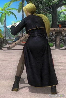 DEAD OR ALIVE 5 Last Round 対応スティック　ガールズファイター 2015　画像　エロ　DOA5LR　ジョイスティック　特典　DLC　　14