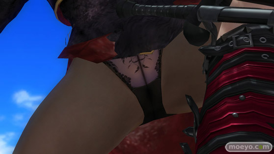 DEAD OR ALIVE 5 Last Round 対応スティック　ガールズファイター 2015　画像　エロ　DOA5LR　ジョイスティック　特典　DLC　　15