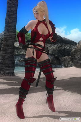 DEAD OR ALIVE 5 Last Round 対応スティック　ガールズファイター 2015　画像　エロ　DOA5LR　ジョイスティック　特典　DLC　　16