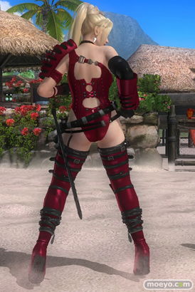 DEAD OR ALIVE 5 Last Round 対応スティック　ガールズファイター 2015　画像　エロ　DOA5LR　ジョイスティック　特典　DLC　　17