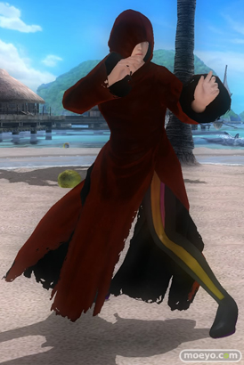 DEAD OR ALIVE 5 Last Round 対応スティック　ガールズファイター 2015　画像　エロ　DOA5LR　ジョイスティック　特典　DLC　　21