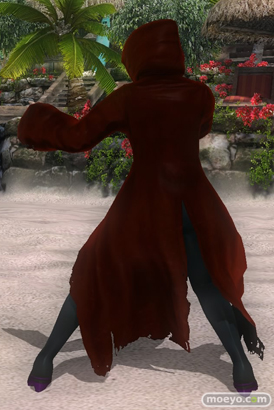 DEAD OR ALIVE 5 Last Round 対応スティック　ガールズファイター 2015　画像　エロ　DOA5LR　ジョイスティック　特典　DLC　　22