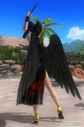 DEAD OR ALIVE 5 Last Round 対応スティック　ガールズファイター 2015　画像　エロ　DOA5LR　ジョイスティック　特典　DLC　　24