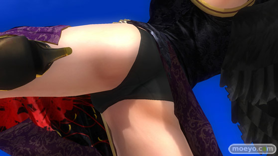 DEAD OR ALIVE 5 Last Round 対応スティック　ガールズファイター 2015　画像　エロ　DOA5LR　ジョイスティック　特典　DLC　　25