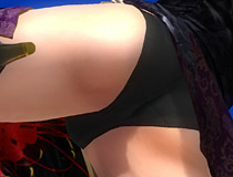 「DEAD OR ALIVE 5 Last Round 対応スティック」同梱DLC「ガールズファイター 2015」 画像特集！