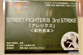 エンブレイスジャパン マイルストン　スクウェアエニックス　画像　フィギュア　サンプル　レビュー　ワンダーフェスティバル 2015［冬］　43