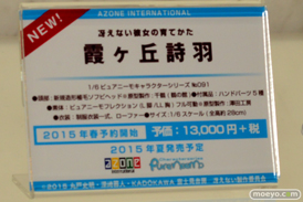 アゾン　画像　フィギュア　サンプル　レビュー　ワンダーフェスティバル 2015［冬］　10