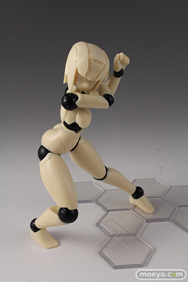 画像　フィギュア　サンプル　レビュー　テストショット パッケージレビュー ポリニアン FMMクローバ（F/G） 06