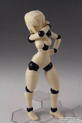 画像　フィギュア　サンプル　レビュー　テストショット パッケージレビュー ポリニアン FMMクローバ（F/G） 07