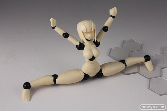 画像　フィギュア　サンプル　レビュー　テストショット パッケージレビュー ポリニアン FMMクローバ（F/G） 10