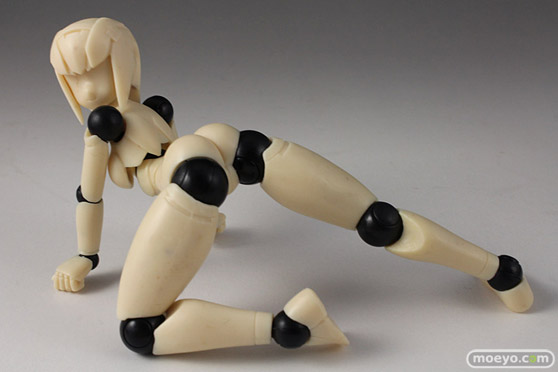 画像　フィギュア　サンプル　レビュー　テストショット パッケージレビュー ポリニアン FMMクローバ（F/G） 11