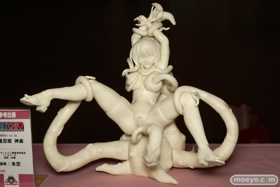 HENTAI vol.03 封魔忍姫 神楽 レチェリー　画像　サンプル　レビュー　フィギュア　アダルト　エロ　モロ　触手　挿入　ワンダーフェスティバル 2015［冬］ 01