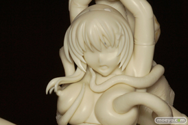 HENTAI vol.03 封魔忍姫 神楽 レチェリー　画像　サンプル　レビュー　フィギュア　アダルト　エロ　モロ　触手　挿入　ワンダーフェスティバル 2015［冬］ 05