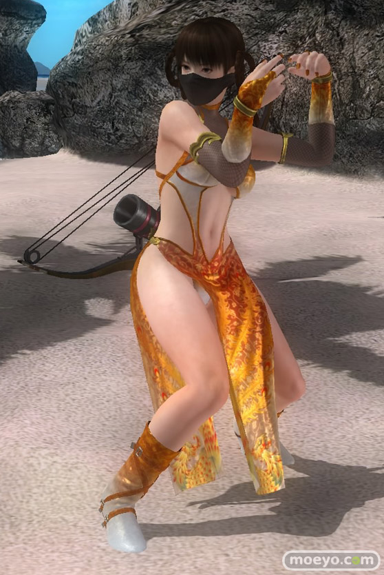 DEAD OR ALIVE 5 Last Round　パンツ　画像　レイファン　紅葉　NINJAなりきりコスチューム Vol.2　エロ　01